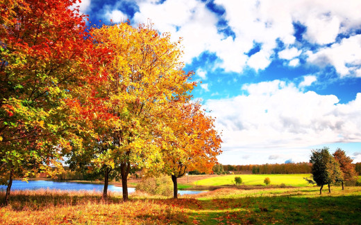 1724105 (a): :2560x1600